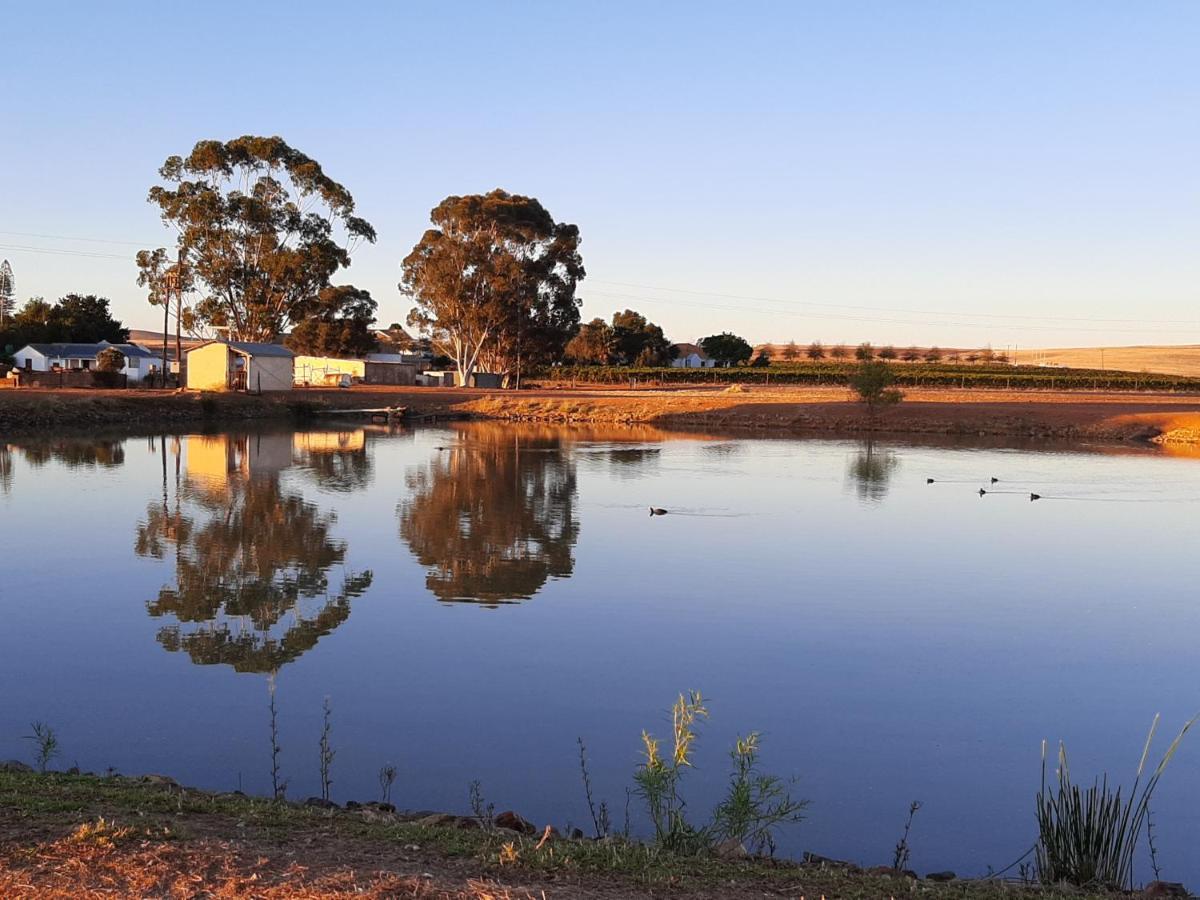 Nieuwedrift Accommodation Piketberg ภายนอก รูปภาพ